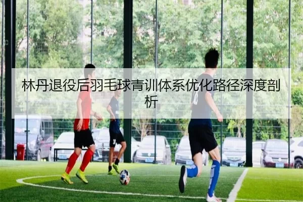 林丹退役后羽毛球青训体系优化路径深度剖析