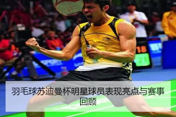 羽毛球苏迪曼杯明星球员表现亮点与赛事回顾